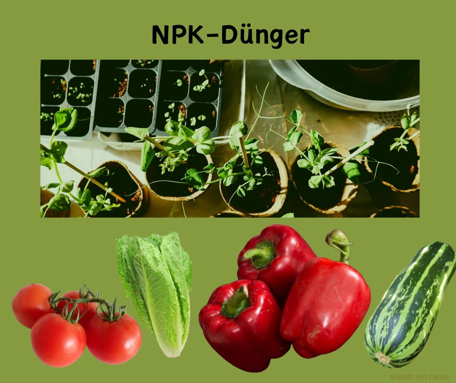 NPK-Dünger