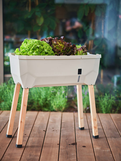 Hochbeet Sammy Salat