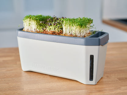Harry Herb Kräuterbox