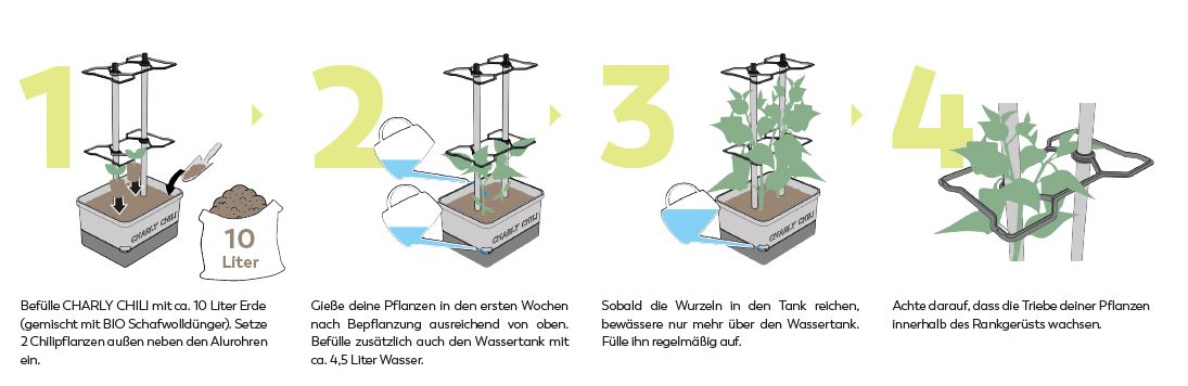 CHARLY CHILI - Anzuchttopf mit Wassertank und Rankhilfe –  Select-Home-and-Living