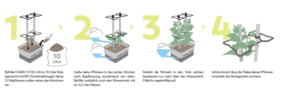 CHARLY CHILI - Anzuchttopf mit Wassertank und Rankhilfe