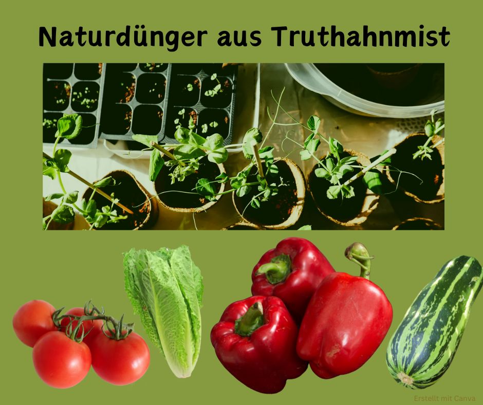 Naturdünger aus Truthahnmist